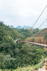 Obraz premium Sa Pa, Vietnam. Lush Green Suspension Bridge Pathway