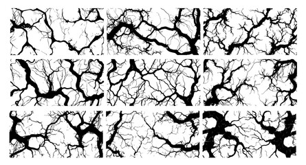 collection of detailed fractal crack illustrations for creative designs