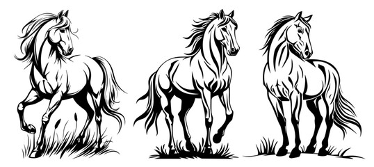 stylized black and white vector drawing of a horse line art graphics