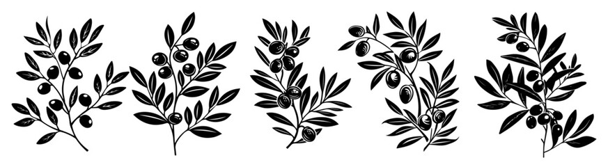 artistic black and white vector of leaves and foliage in minimalist style