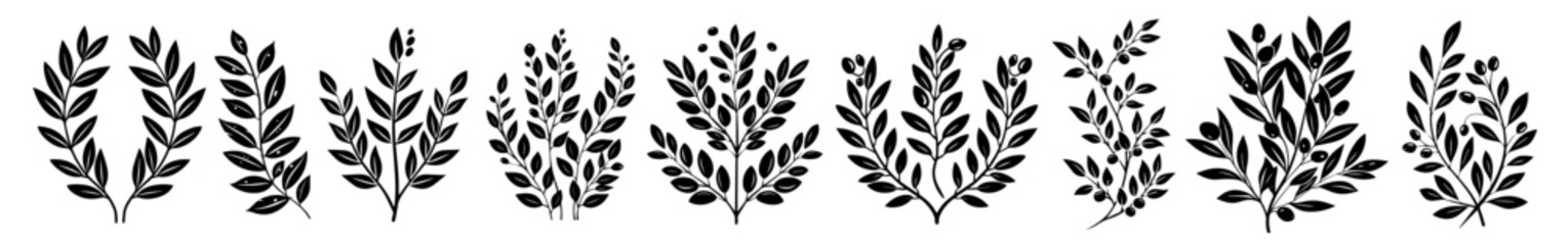 botanical vector elements of leafy branches in detailed sketch design
