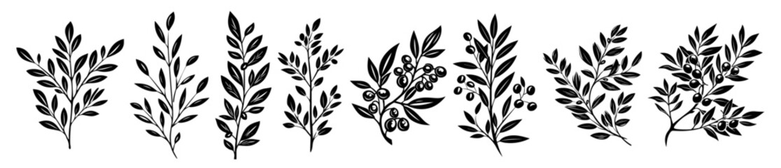 vector botanical branches set