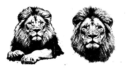 artistic depiction of two lions with intense expressions in monochrome