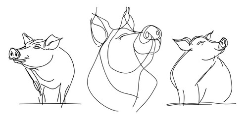 abstract pigs drawing