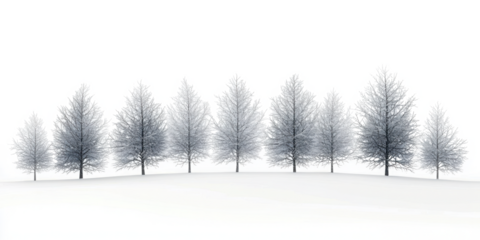 PNG A snowy landscape with many pine trees covered in snow background outdoors scenery. 
