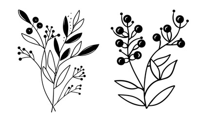 artistic collection of monochrome berry sprigs with leaves