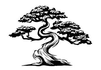 elegant black and white illustration of a bonsai tree with intricate details