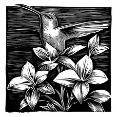 realistic linocut-style vector artwork of a hummingbird and floral elements © Luka