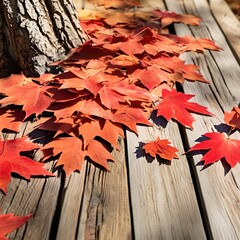 Obraz premium Autumn background scene