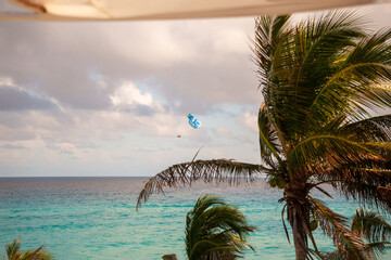 A Picturesque Tropical Scenic View Featuring Lush Palm Trees and the Beautiful Ocean