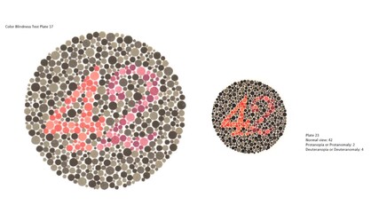 Eye Color vision test, Color Blindness Test Plate 17, Ishihara, Plate 23, Normal view: 42, Protanopia or Protanomaly: 2, Deuteranopia or Deuteranomaly: 4. © A.S.Khan