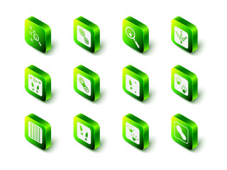 Set Human footprints shoes, Paw search, Chicken paw, Frog and icon. Vector