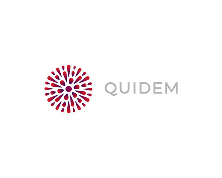 Firework gradient logotype. Creative explosion icon. Abstract sun logo.