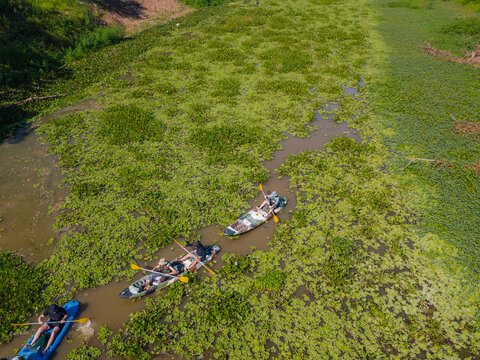 Kayaking in the Forest