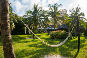 A Serene Tropical Paradise Awaits You, Featuring Hammocks Gently Swaying Under Tall Palm Trees