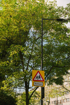 School Zone Sign with Trees