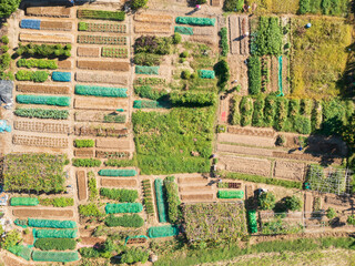 Aerial View of Organized Small Vegetable Garden