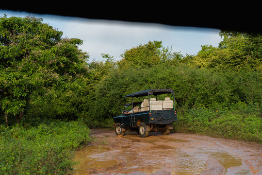 Old SUV vehicle passing muddy jungles in Sri Lanka 