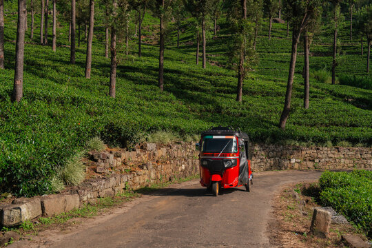 Red tuk tuk on narrow road through tea plantation