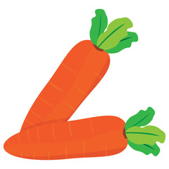 isolated carrot on white background vector design