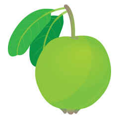 isolated guava on white background vector design