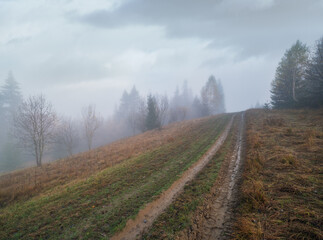 Fototapeta premium Foggy autumn mountain sunrise scene. Peaceful picturesque traveling, seasonal, nature and countryside beauty concept scene.