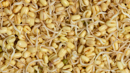 Top view of sprouted mung bean with removed green skin. Food background texture. 