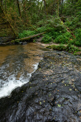 Rocky threshold and small water cascade on the wild river Sopot. Landscape park Solska forest at...