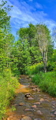 Summertime stream over rocks through the woods and green grass under a blue sky