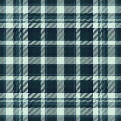 Elegant teal and white plaid pattern.  Perfect for textile design, website backgrounds, or seasonal branding.  Subtle texture adds visual interest. Ideal for fall or winter projects.