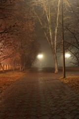 A mysterious and atmospheric street scene enveloped in dense fog. Perfect for themes of mystery,...
