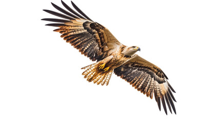 Fototapeta premium Eagle soaring in the sky, isolated on transparent background