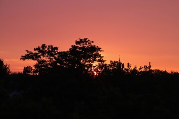 Silhouetted Trees Against a Vibrant Sunset Sky in Summer