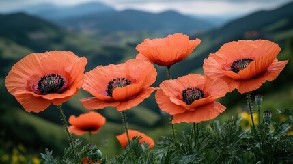 Fototapeta premium A group of bright orange flowers growing together in a lush green field