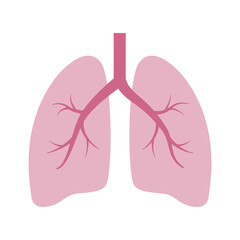 Vector illustration of a healthy lung.