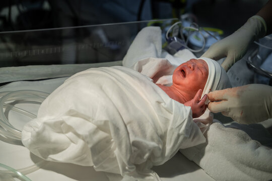 Newborn Baby in Hospital Receiving Postnatal Care