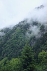 Misty Green Mountain Landscape with Dense Forest, Alps Tirol, Austria