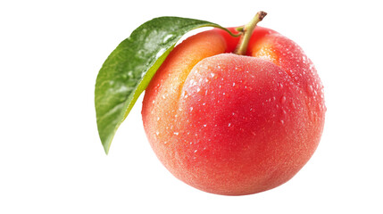 Single apricot, isolated on transparent background