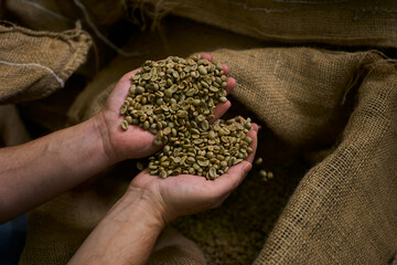 Hands holding green coffee beans from burlap sacks 