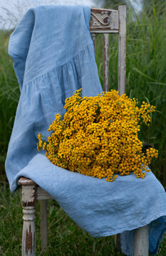 Bouquet of tansy before the storm