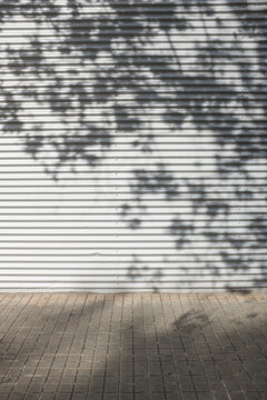 Metal wall with shadow reflection of tree. Urban city environment