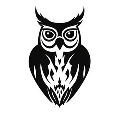 owl on a white background