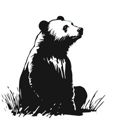 Fototapeta premium bear in the forest