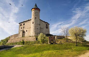 Fototapeta premium Kuneticka hora castle near Pardubice town