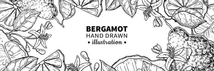 Bergamot vector drawing frame. Isolated vintage template of citrus fruit, flower. 