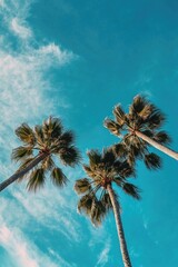Two tall palm trees standing against a clear blue sky with no clouds