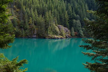 Pristine alpine lake and old growth forest