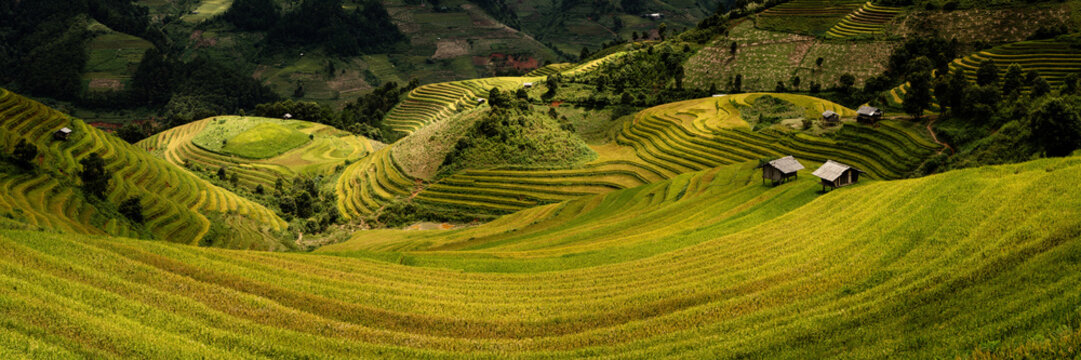 Mu Cang Chai Rice Terraces Vietnam