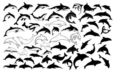 Ocean Symphony: a collection of graphic representations of dolphins gracefully swimming, leaping, and playing, their sleek forms rendered in dynamic compositions.