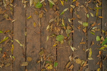 Fallen autumn leaves on weathered wooden planks